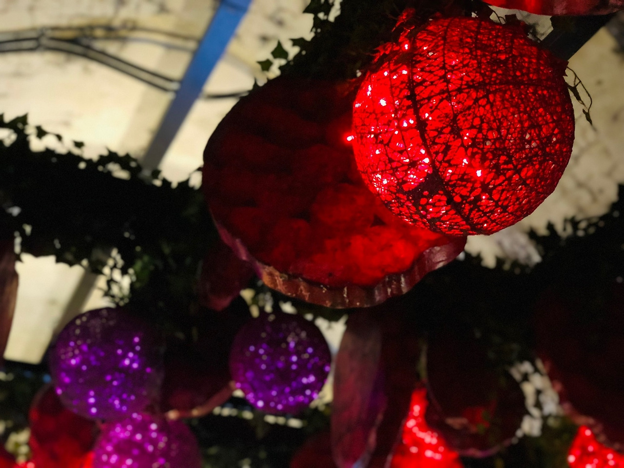 산딸기 와인동굴9.jpg