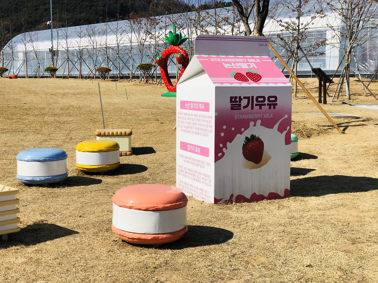 딸기향농촌테마공원1.jpg