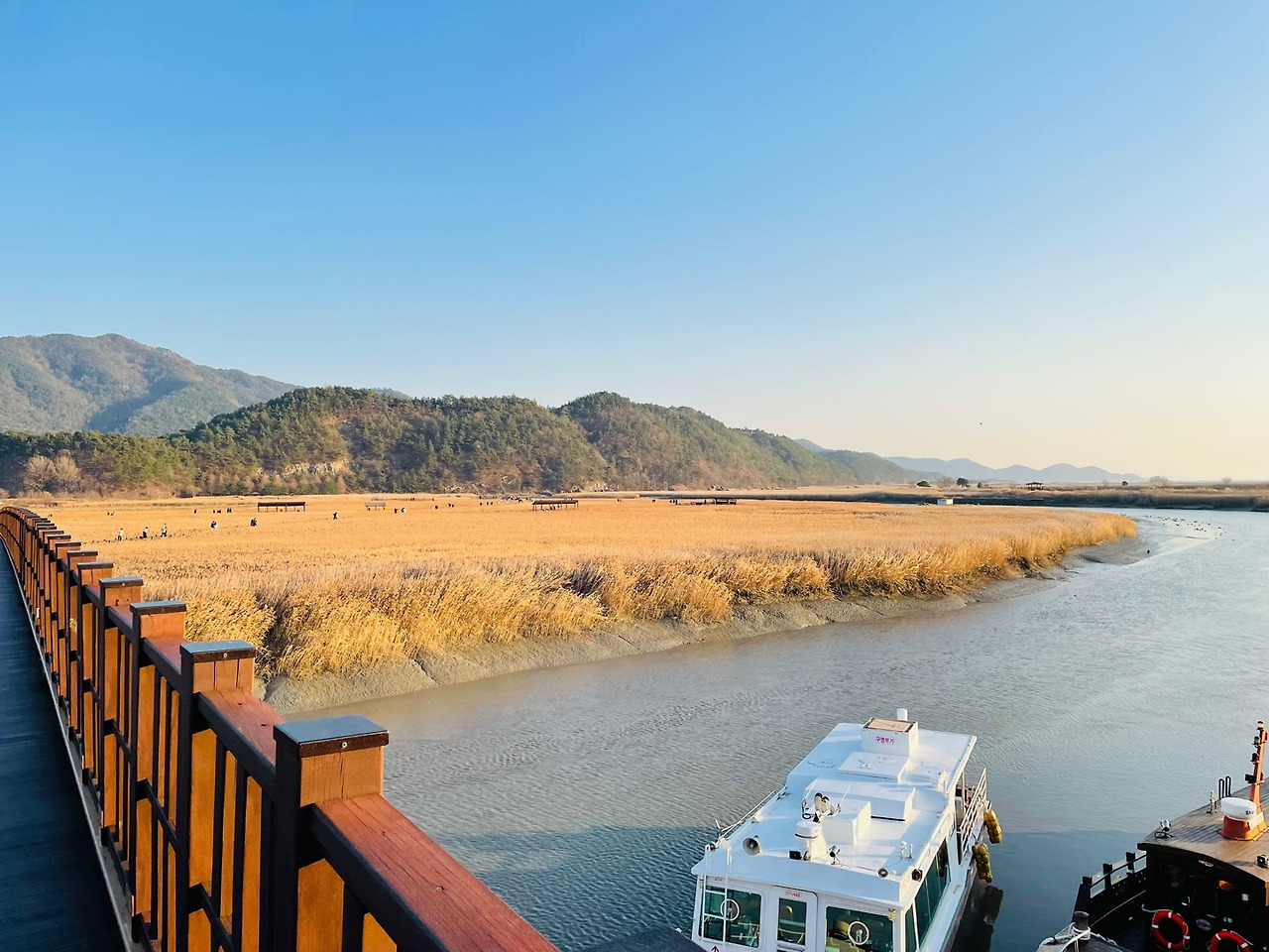 순천만7.jpg