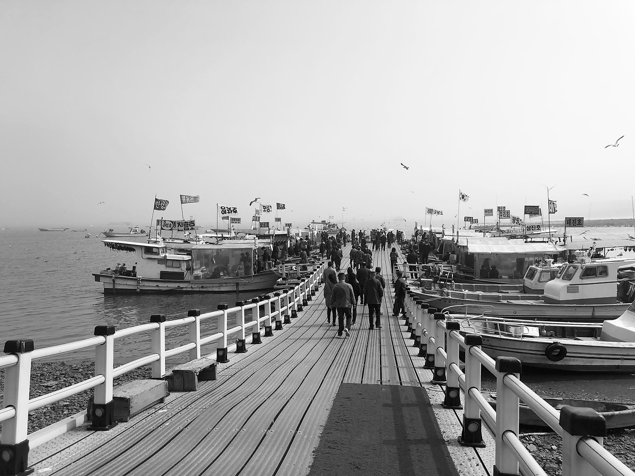 삼길포항4.jpg