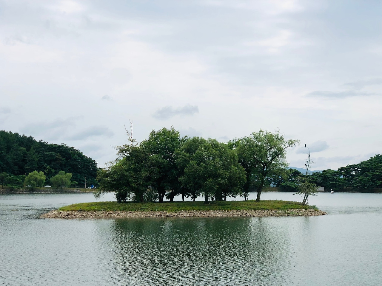 의림지6.jpg