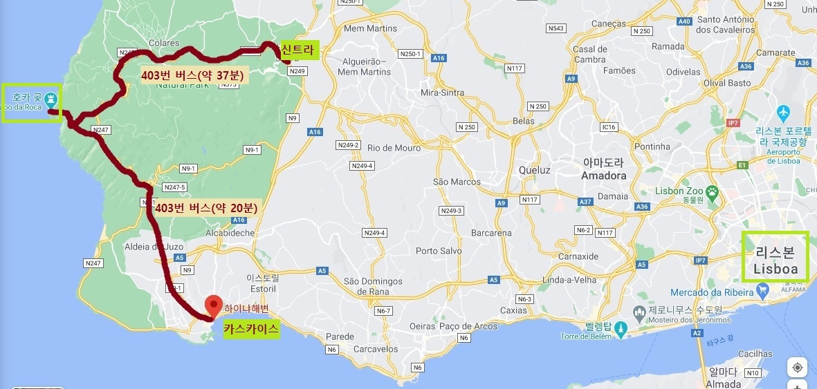 포르투갈_카스카이스_호카곶, 403번 버스.jpg