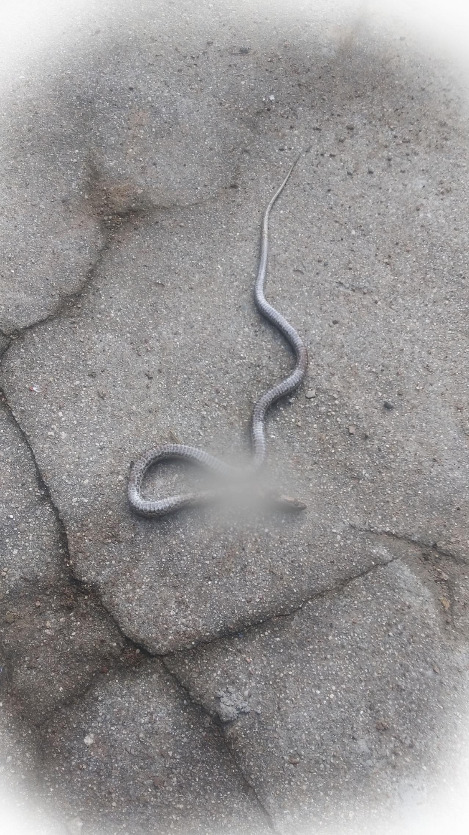 20210820_083107 .jpg