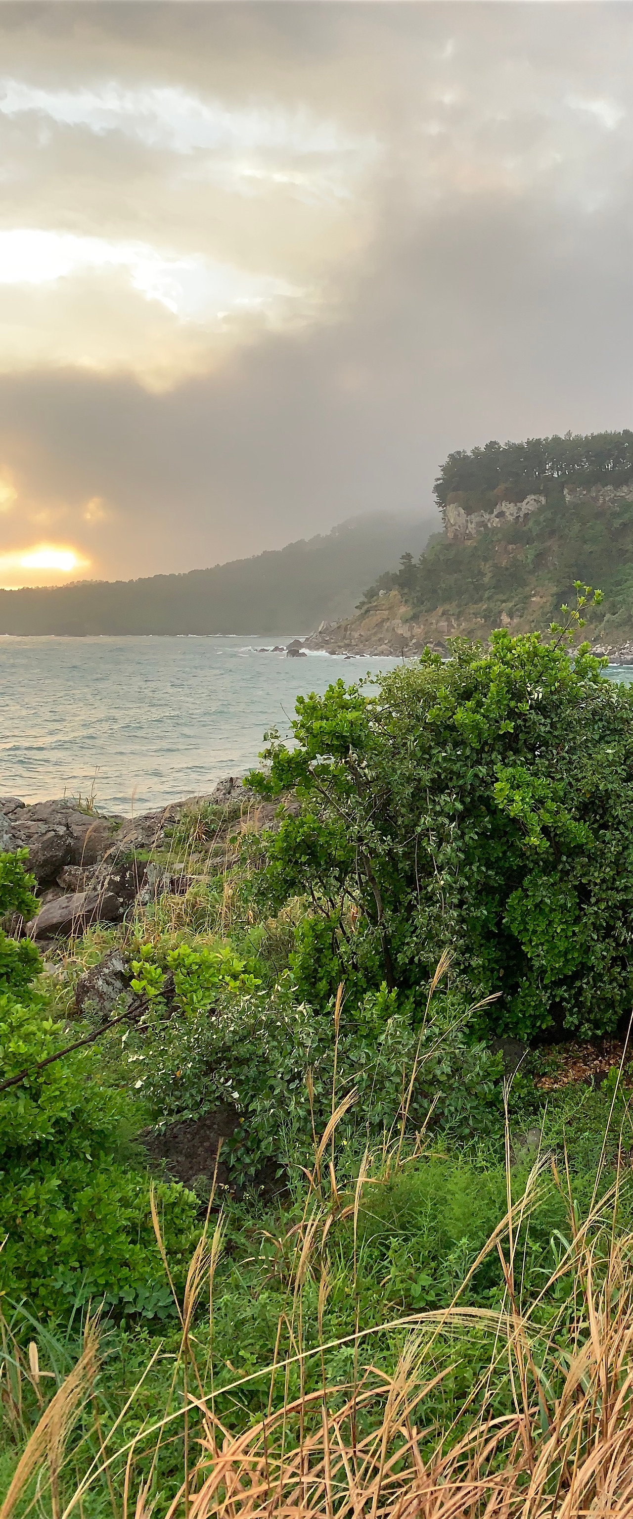 2022-04-26 18.58.10.jpg