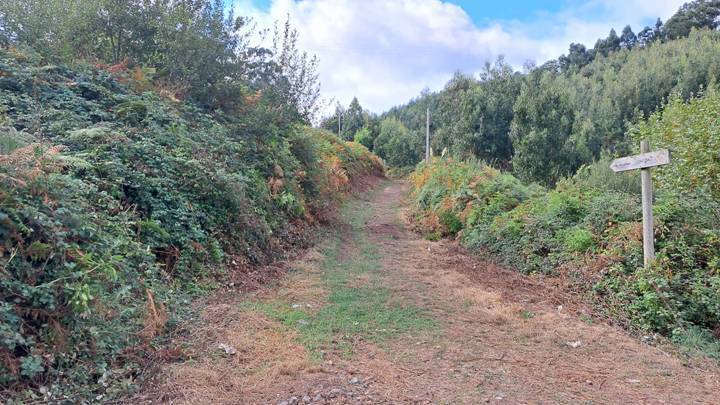 산쪽을 향하는 이정표.jpg