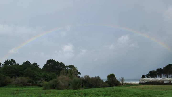 무지개.jpg