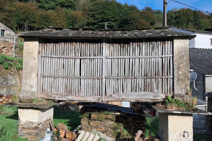 갈리시아 오레오01.jpg