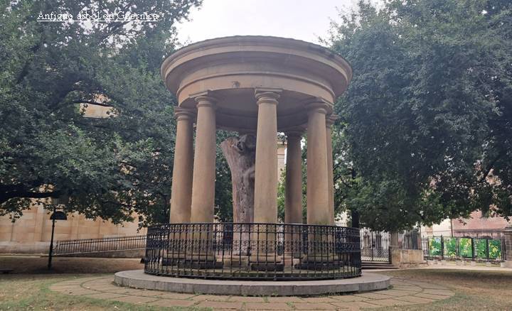 게르니카 나무.jpg