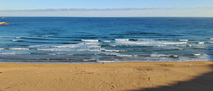 서핑하는 사람들.jpg