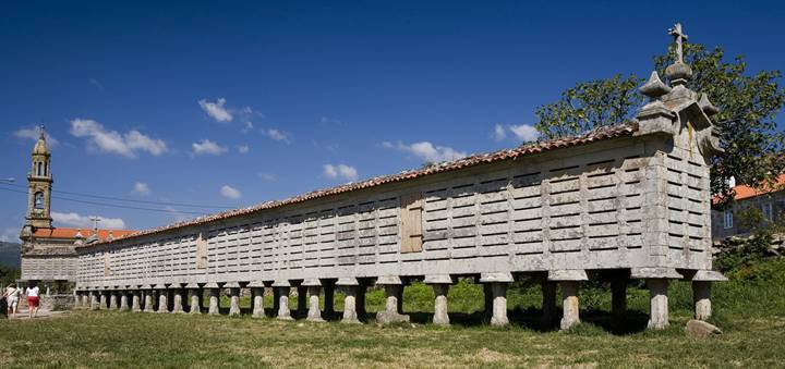 카르노타 오레오.jpg