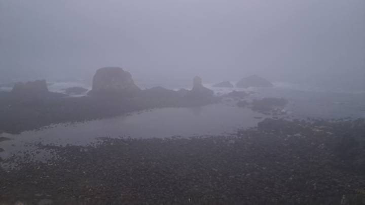 안개낀 해변.jpg