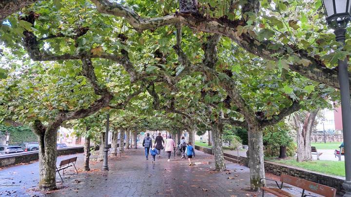 알베르게 가는 길.jpg