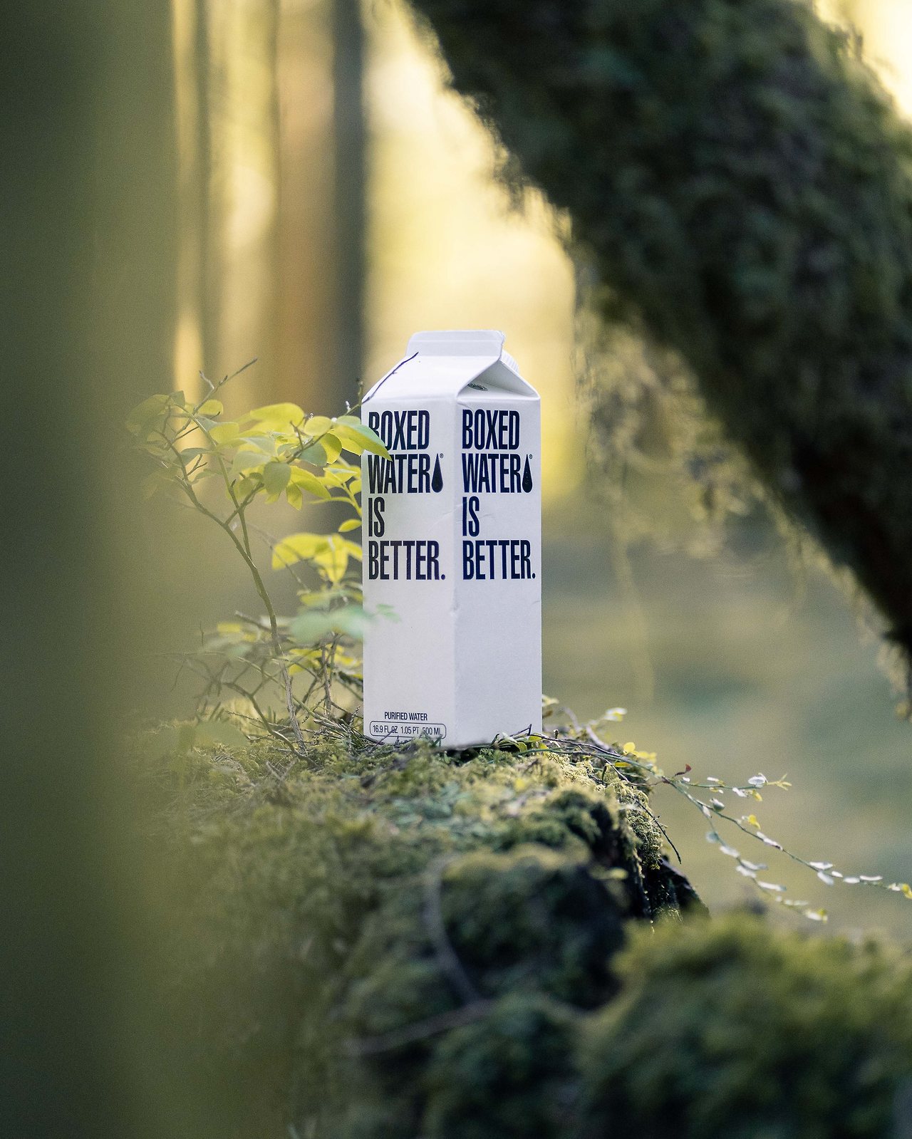 boxed-water-is-better-LWagu5WepHU-unsplash.jpg
