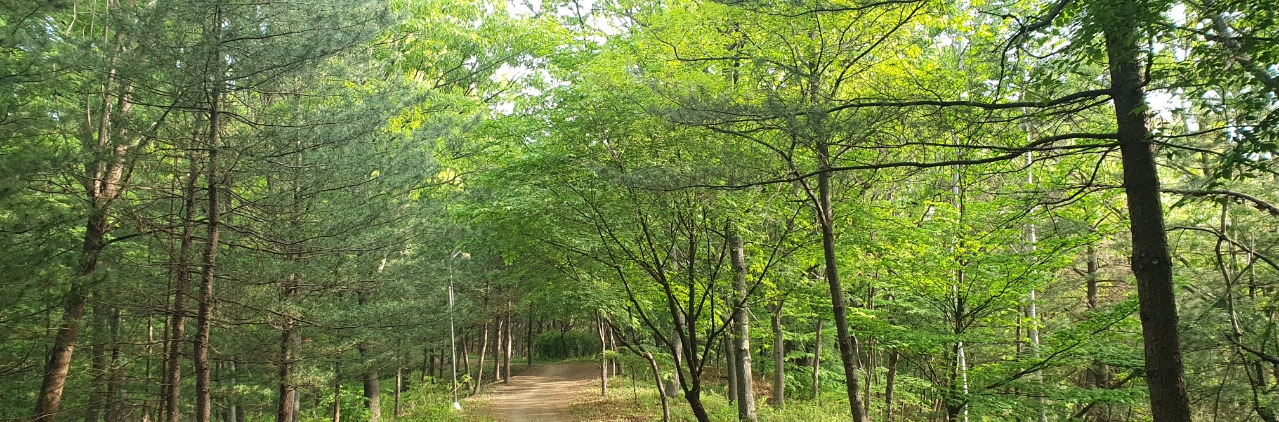 20240426＿072336 (1).jpg