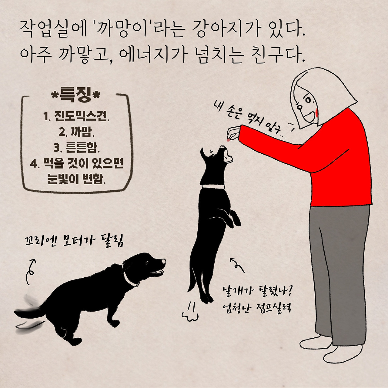 12화 반려견 까망이 이야기