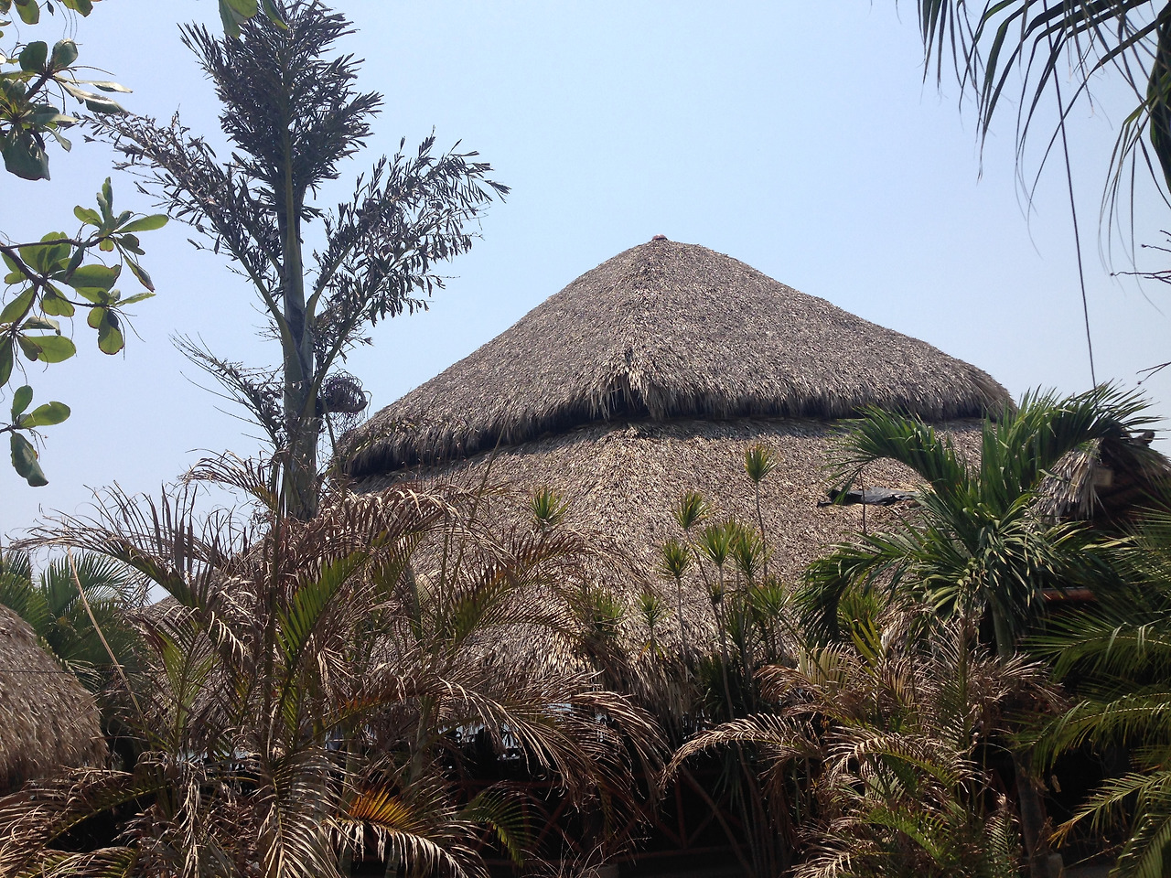 2015-05-06 12.27.23.jpg