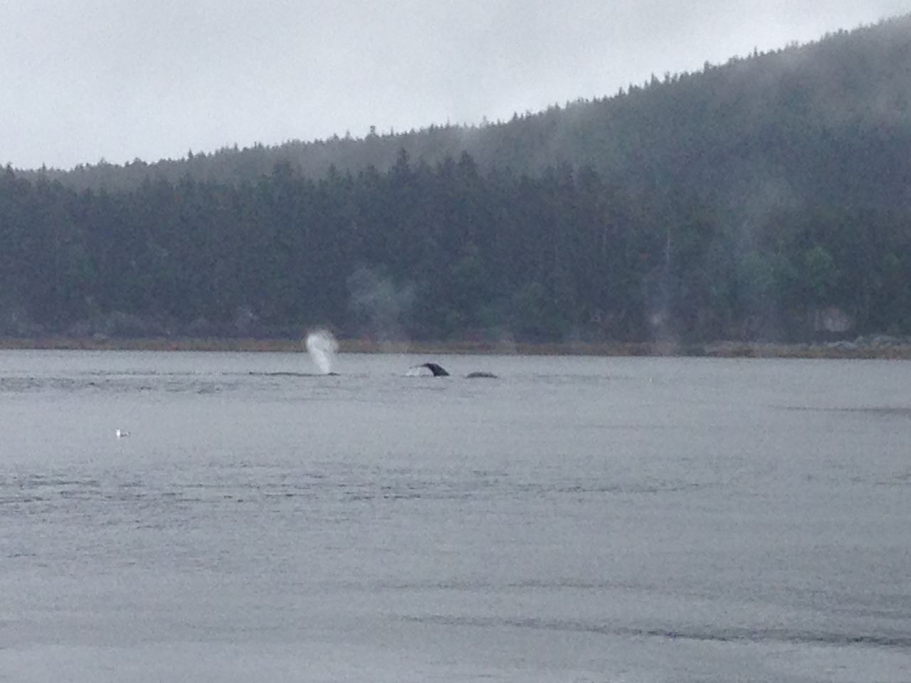 2015-07-23 14.32.19.jpg