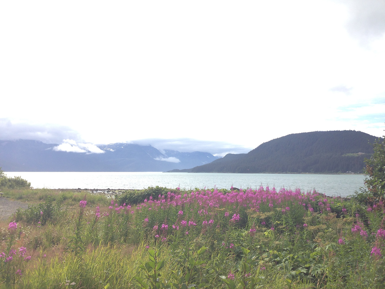 2015-07-08 09.03.00.jpg