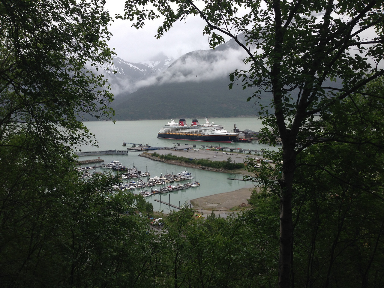 2015-06-04 14.20.07.jpg