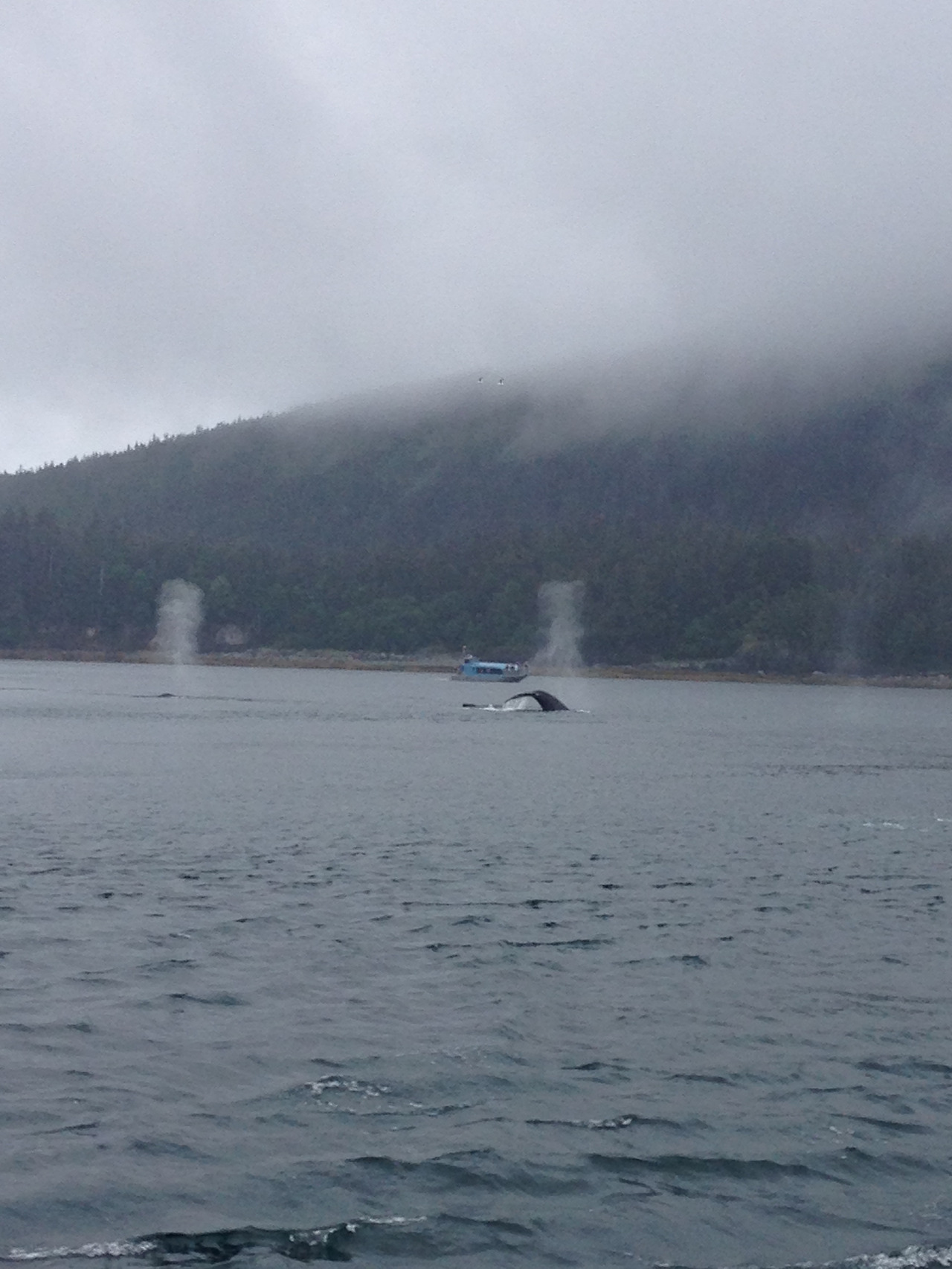 2015-07-23 14.35.30-1.jpg