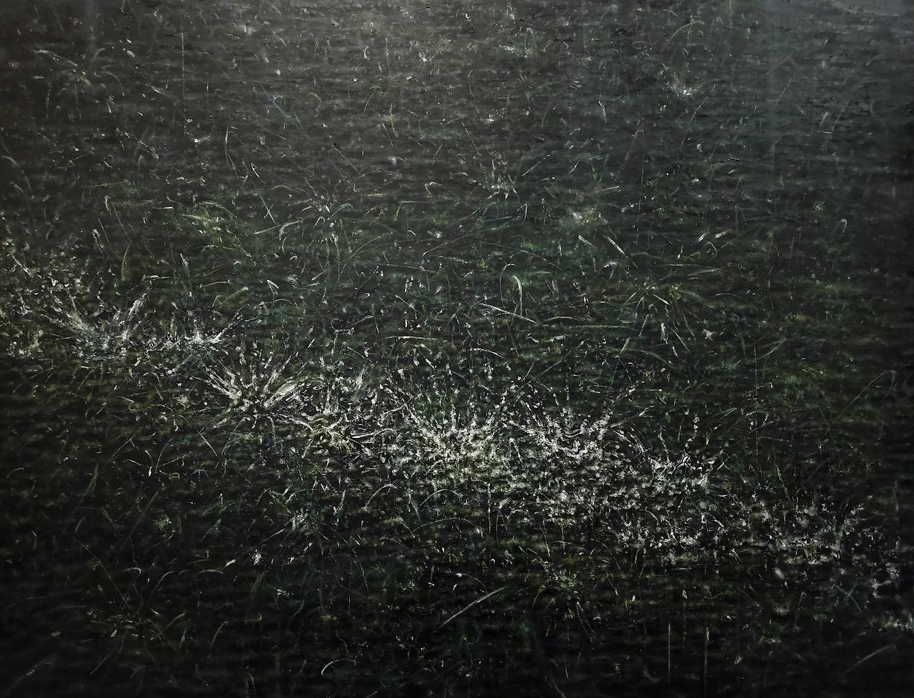 Rain-echo, 91.0 x 116.8cm, oil on canvas, 2025.jpg