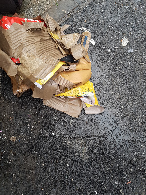 비올때 내놓은 박스1.jpg