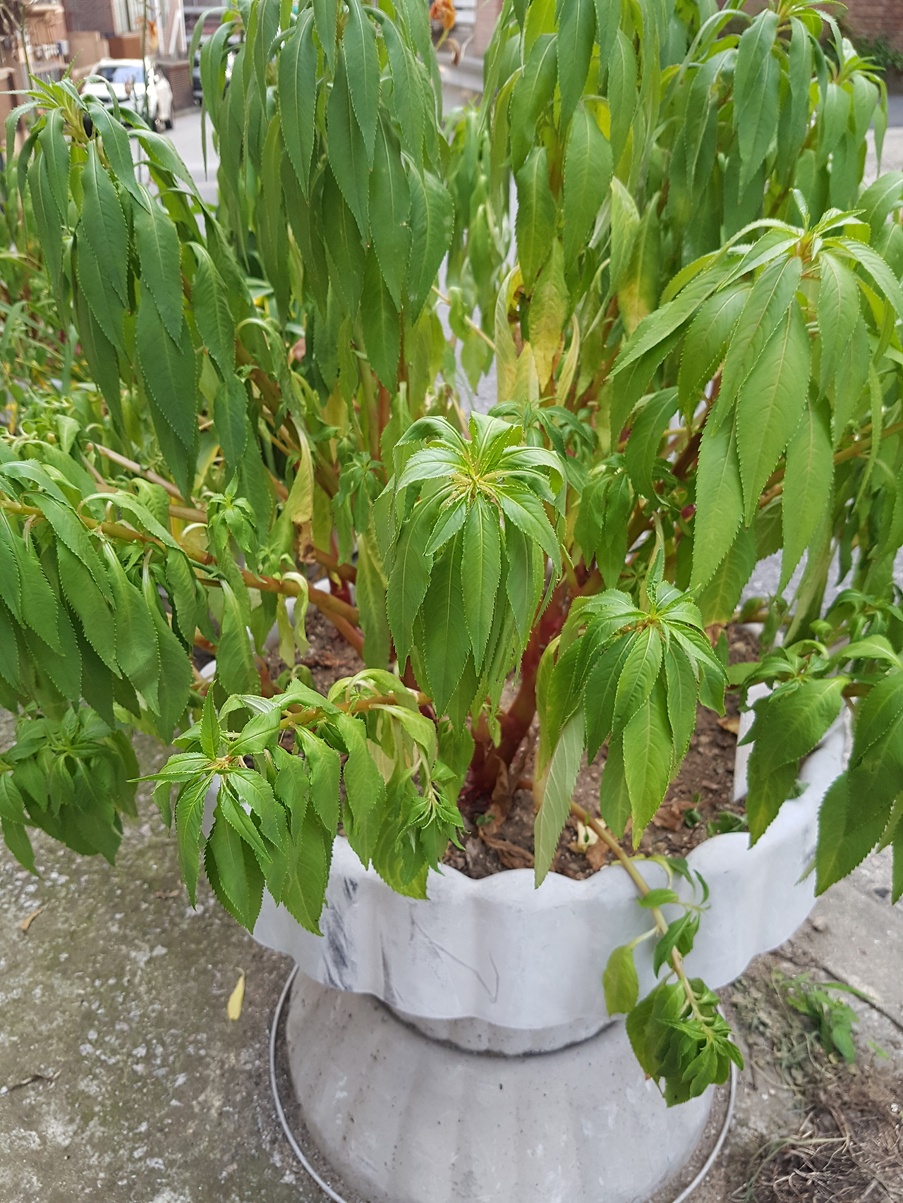 비가오지않던 7월에_2.jpg