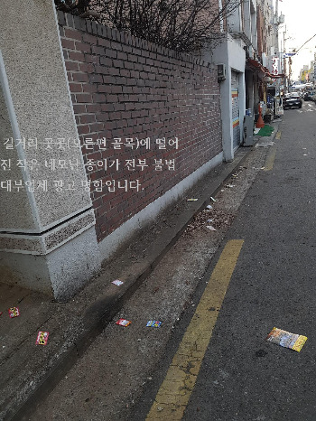 골목 곳곳 불법 명함.jpg