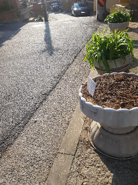 화단에 표식2.jpg