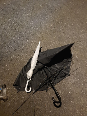우산3.jpg