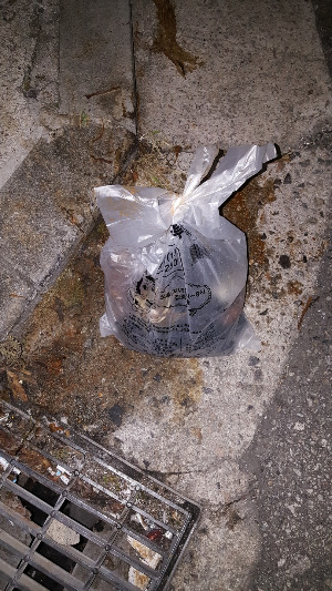 여러 마스크들 다음날 김치.jpg