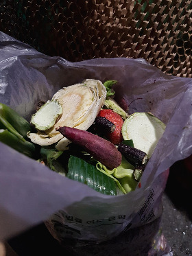 화단 위 음식물쓰레기 봉투로 담았다요.jpg