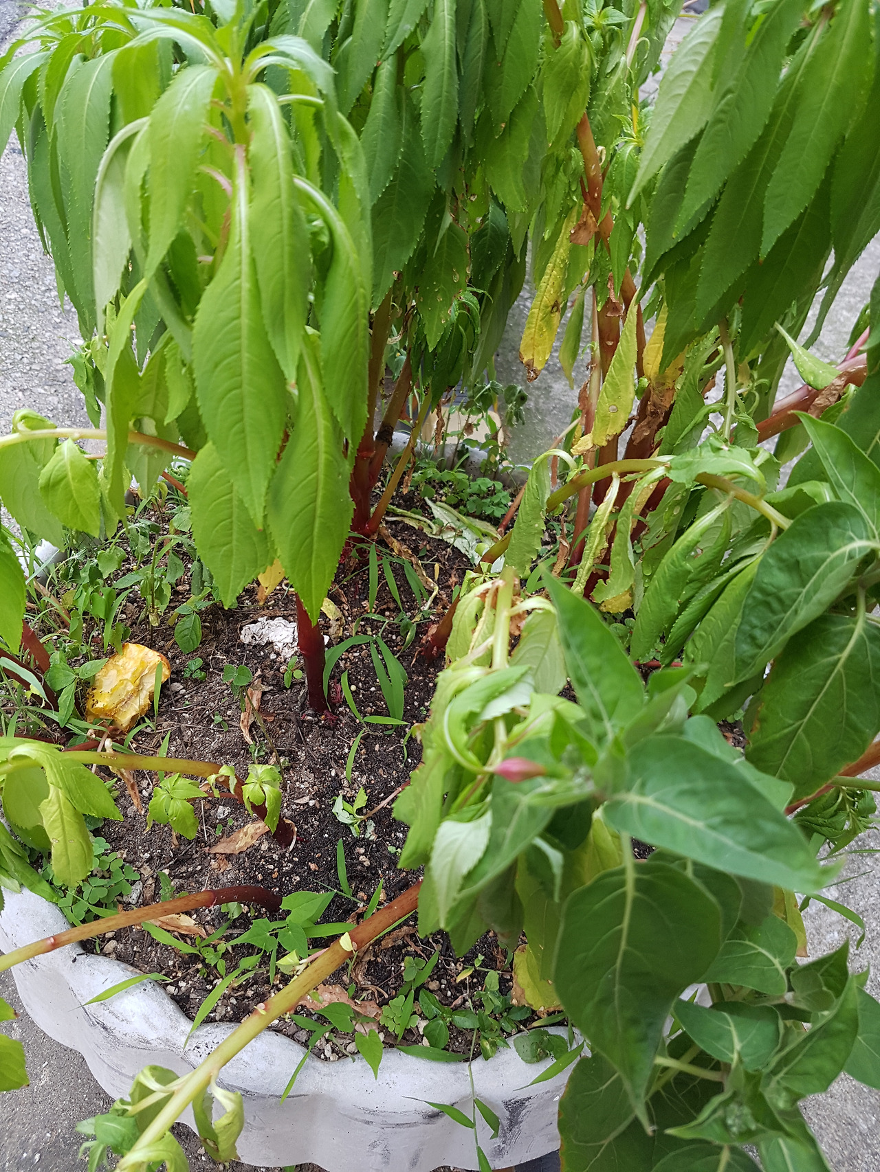 비가오지않던 7월에_1.jpg