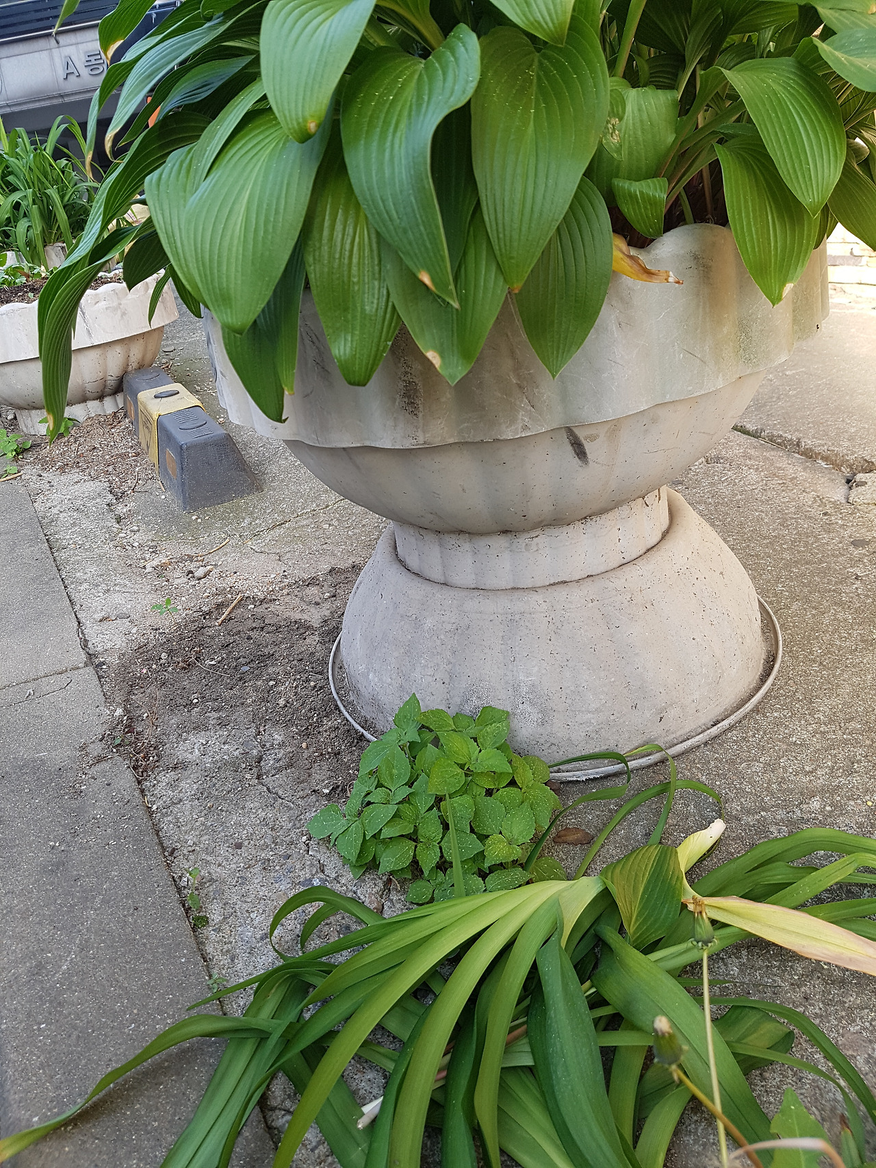 비가오지않던 7월에_3.jpg