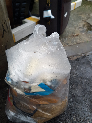 비올때 내놓은 박스2.jpg