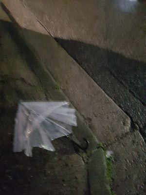 뒤집힌 우산2.jpg