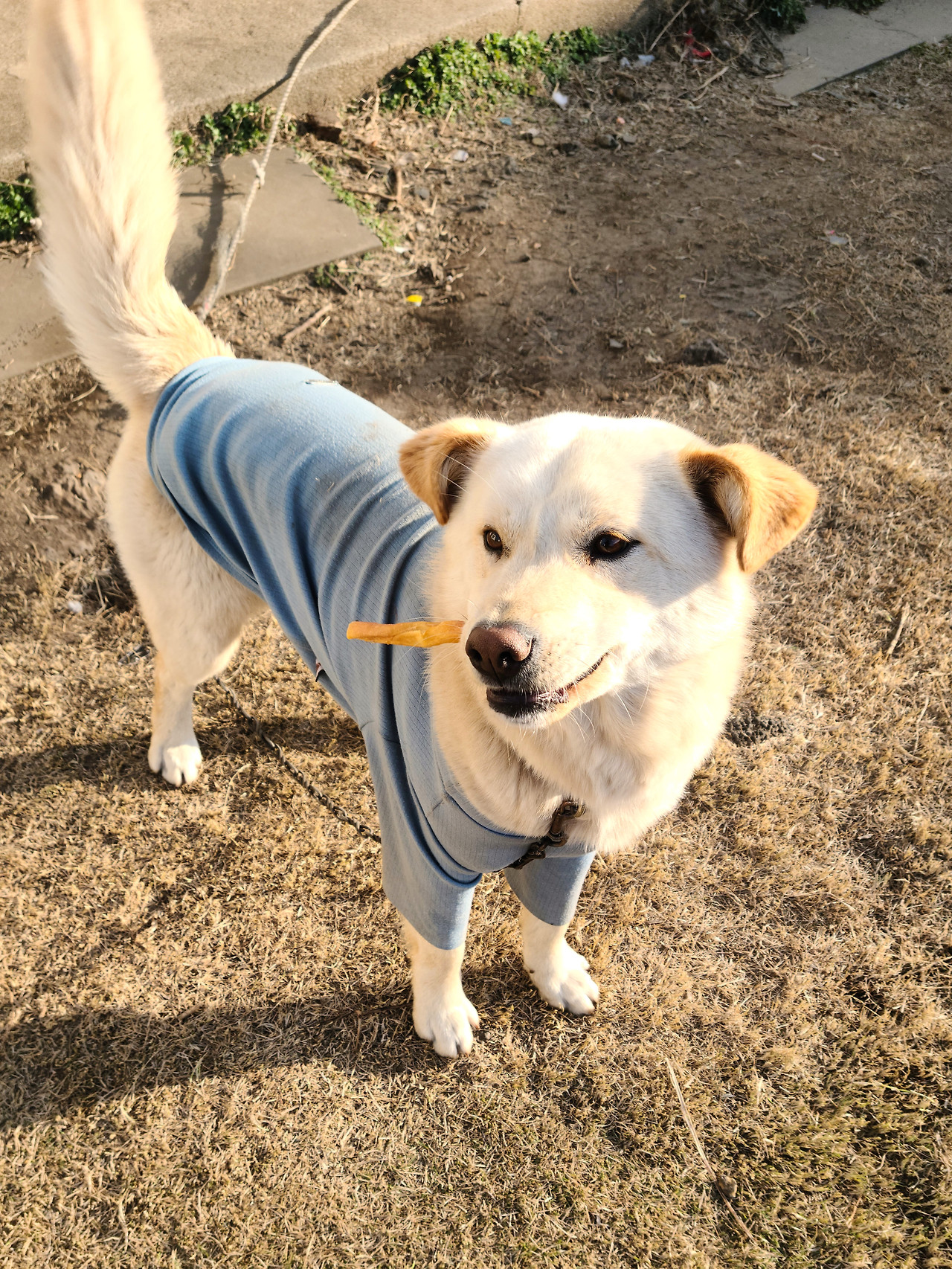 현미 마당(옷).jpg