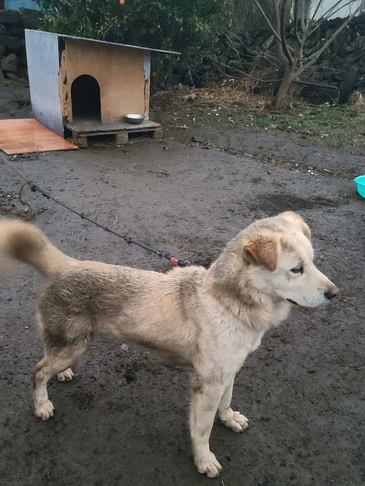 비온날 백미(1).jpg