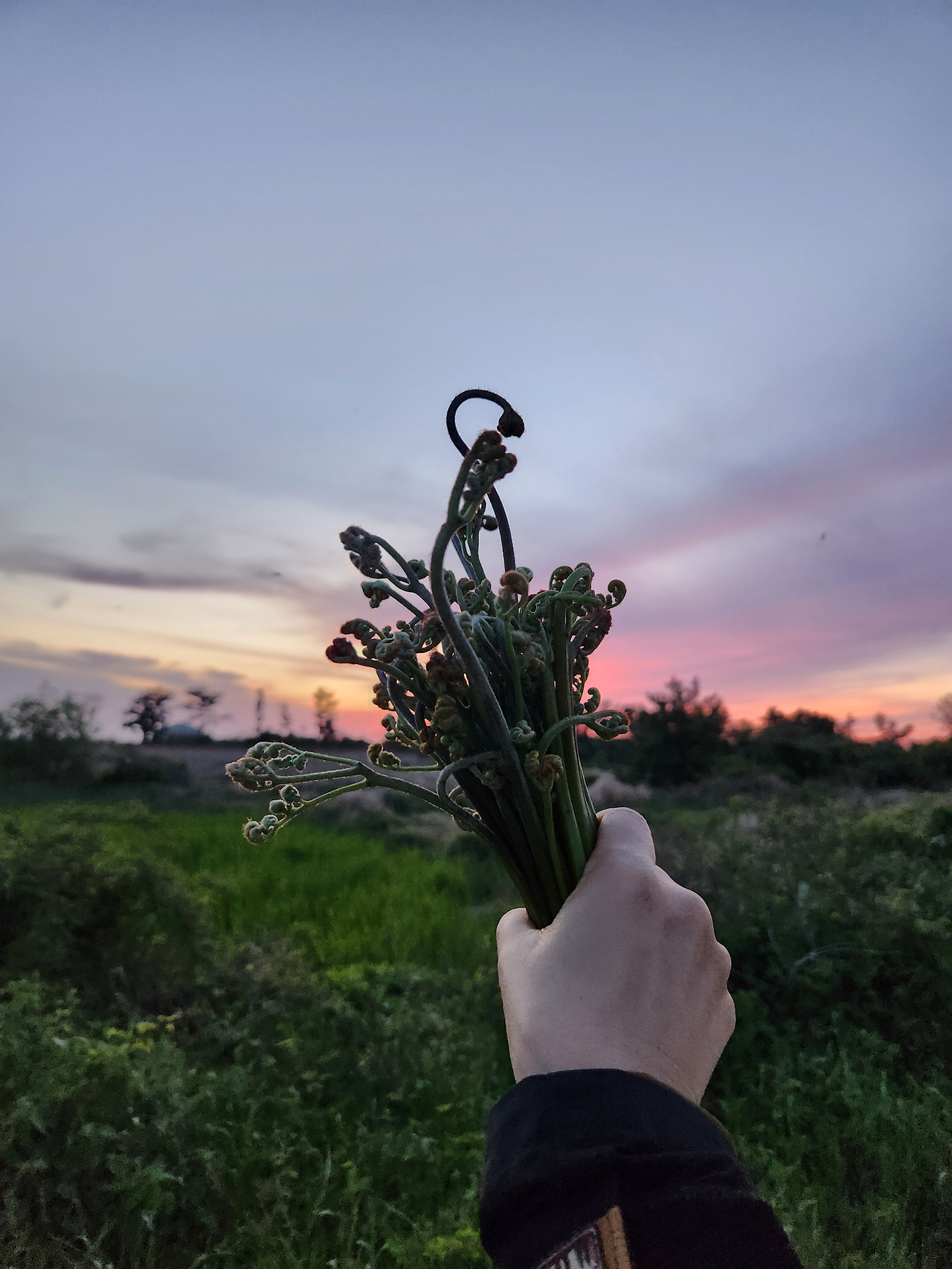 KakaoTalk_20230427_211004734 (1).jpg