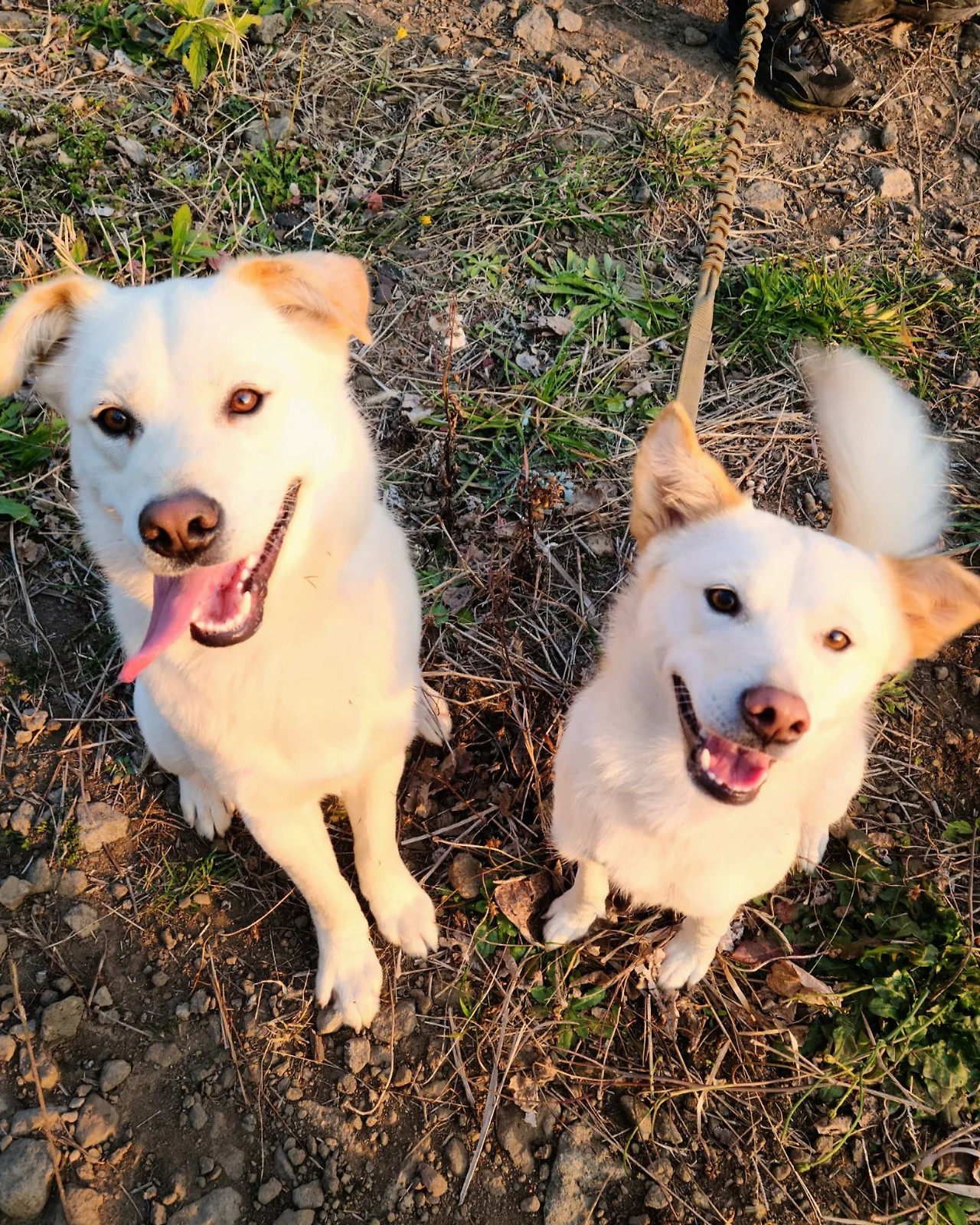 백미 보리 운동장.jpg