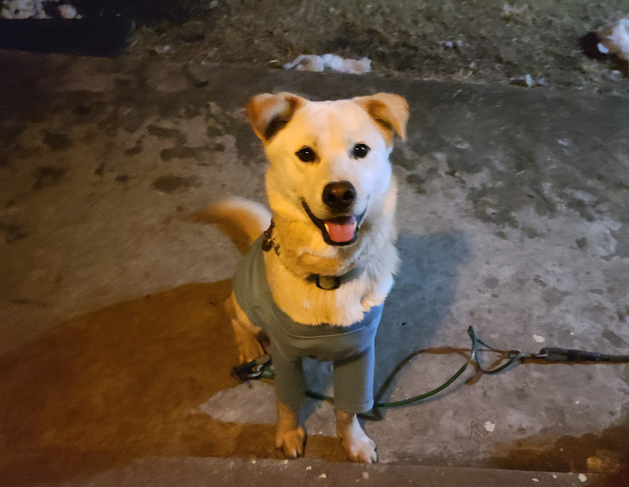 백미 마당(옷).jpg