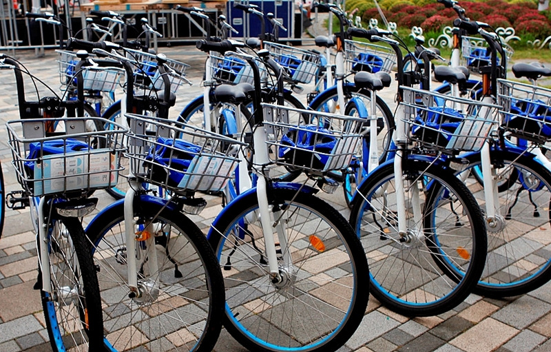 세종시 어울링.jpg