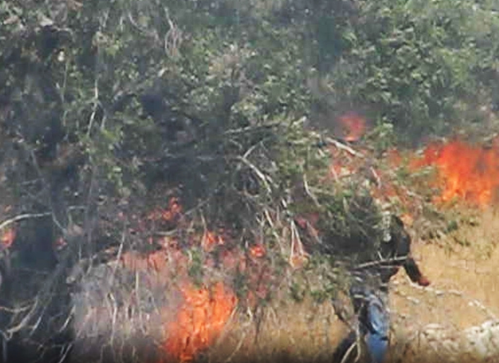 화면 캡처 2022-08-09 112059.jpg