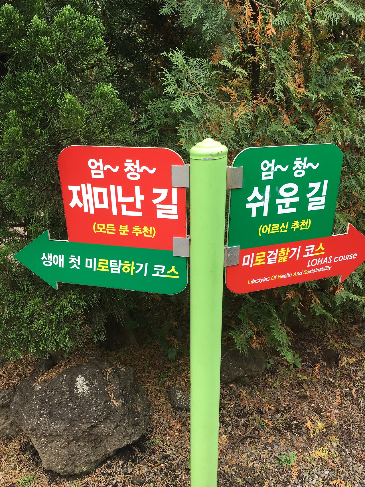 2019-10-26 14.04.27.jpg