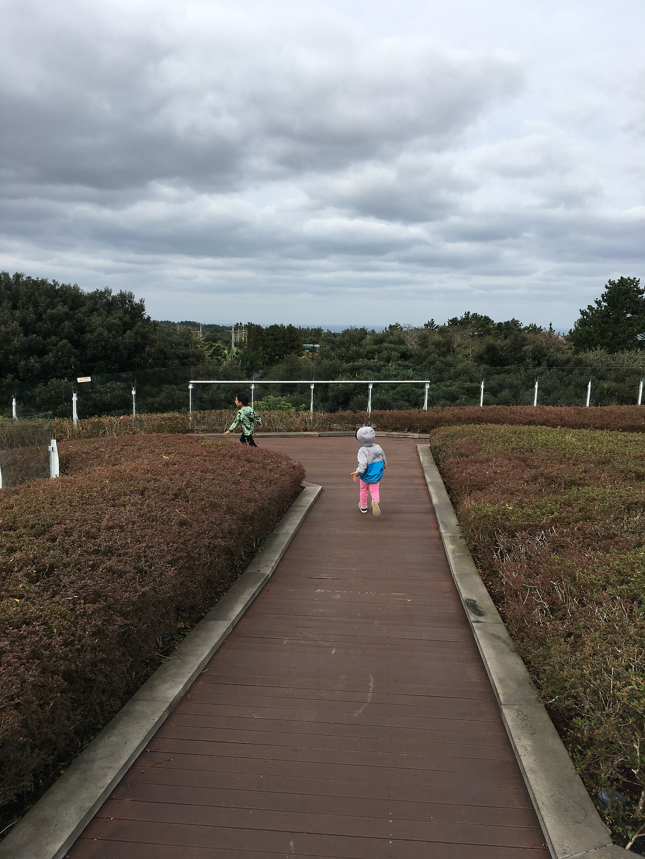 2019-10-26 15.34.19.jpg