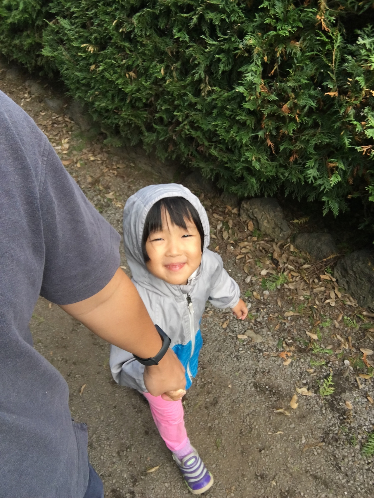 2019-10-26 14.05.34.jpg