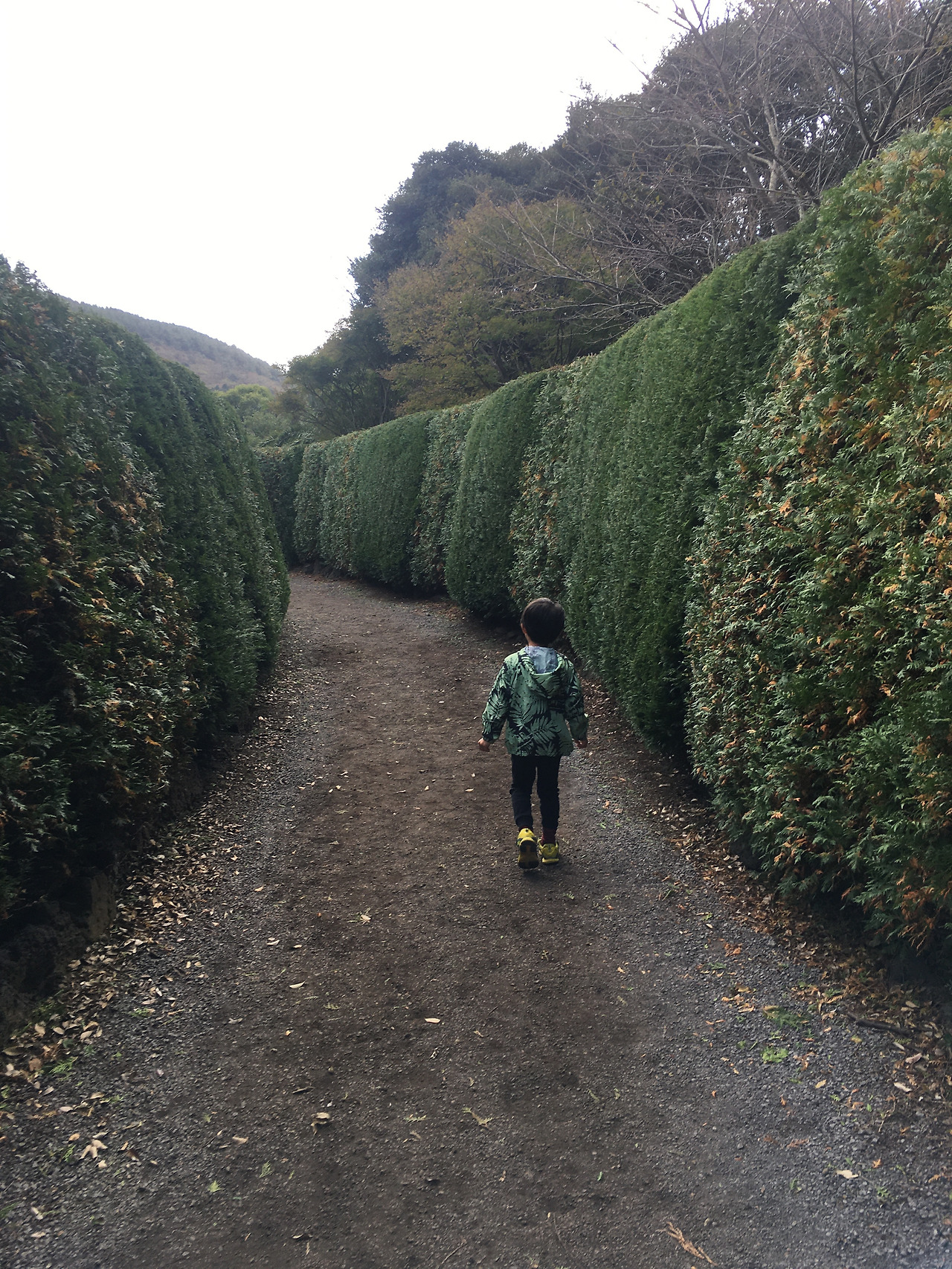 2019-10-26 14.05.25.jpg