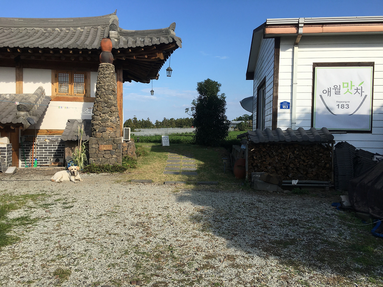 2019-10-24 15.17.03.jpg