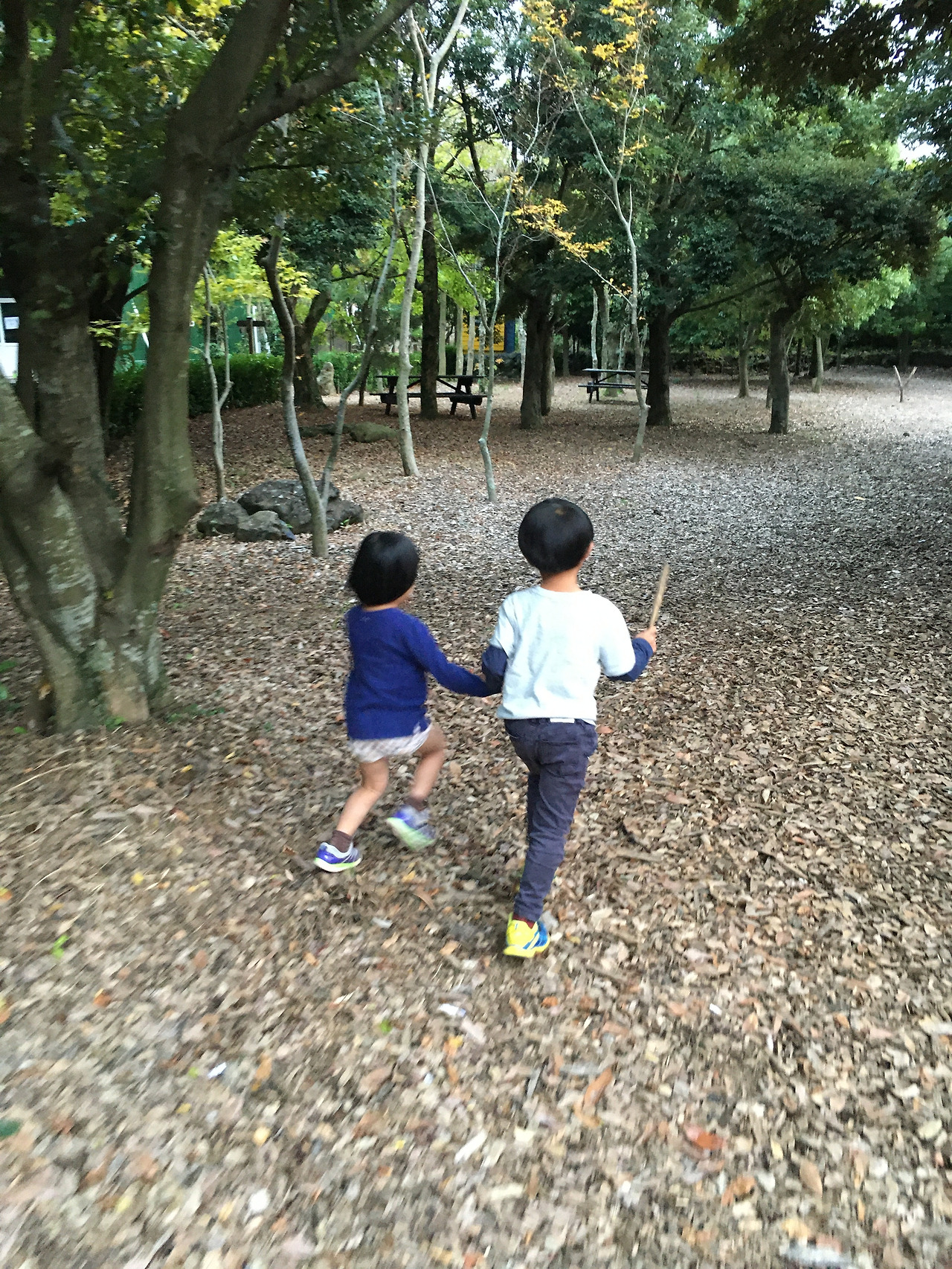 2019-10-22 17.40.49.jpg