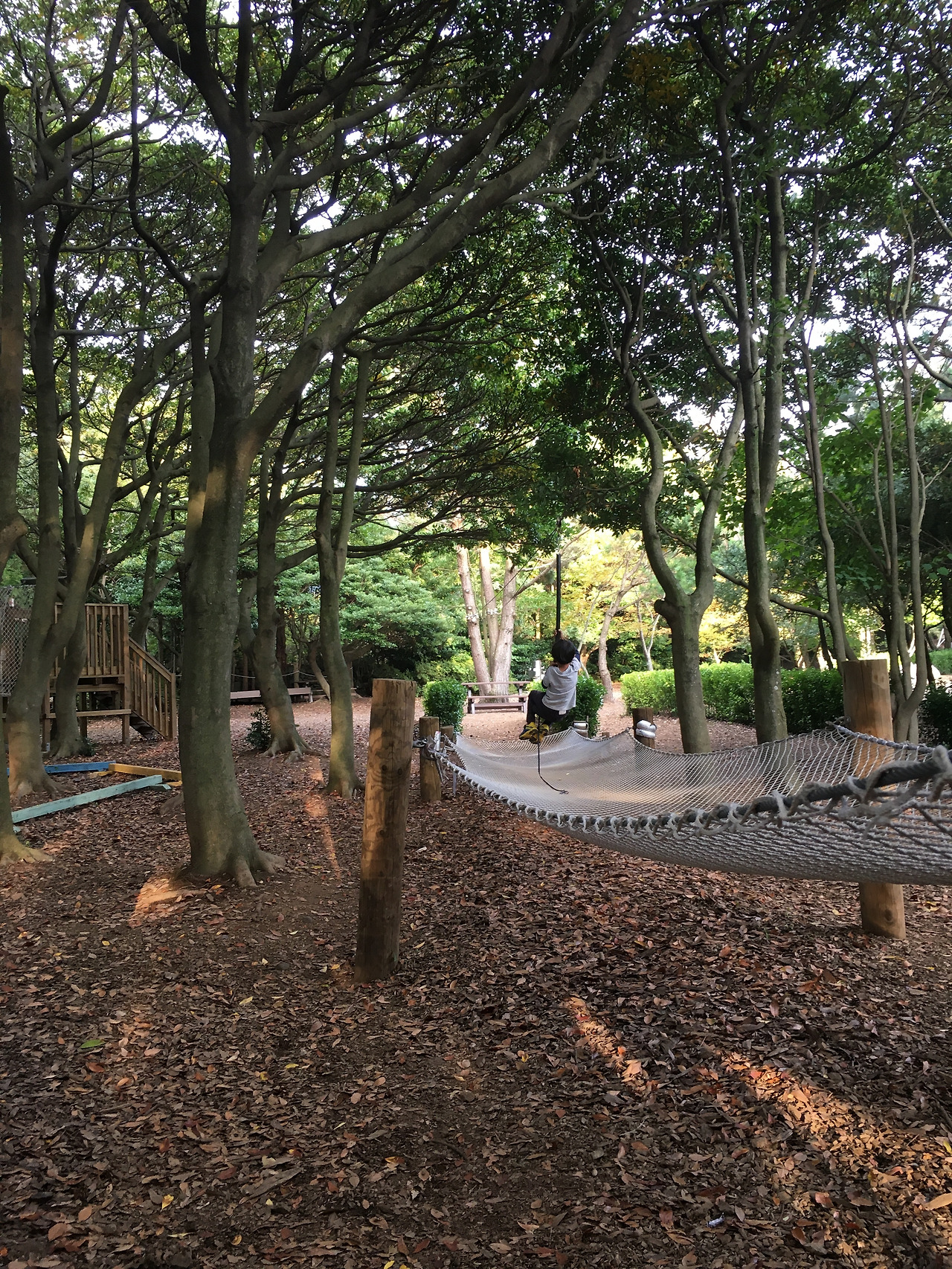 2019-10-22 16.43.40.jpg